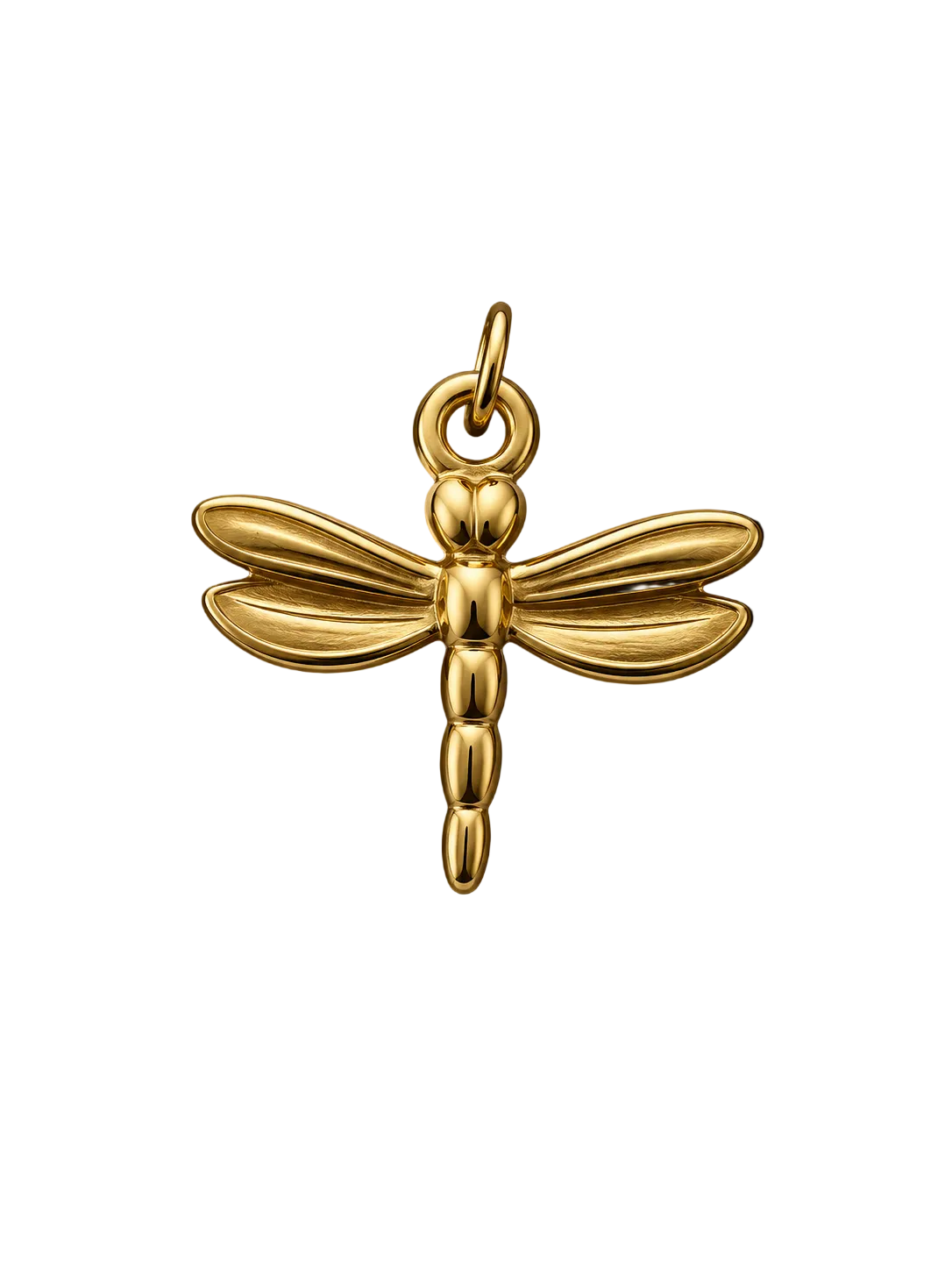 Libellen Charm