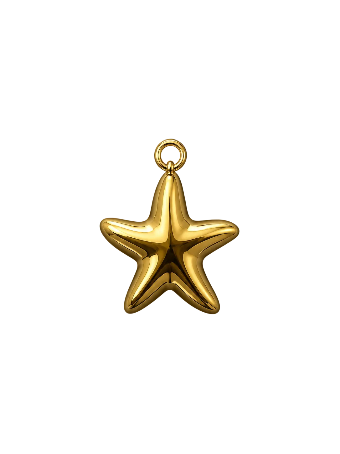 Seestern Charm